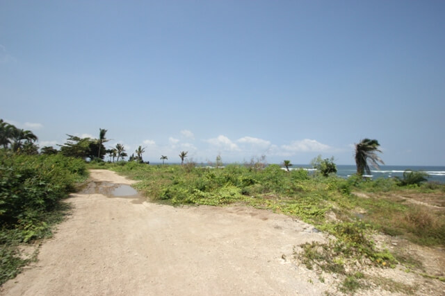 Terrain – villa - maison – propriété – à vendre – à louer – location - location longue durée – location à l’année – investissement – achat – vente – plage – bord de mer - sable blanc – Indonésie – Roti island – Bali – chambre – notaire – consultant - juridique – création - société – administration – voyage – entreprise – hôtel – commerce – restaurant – projet – visa – permis – travail – retraite – informations – découverte – aventure – produits – naturels – spa – salon – coiffure – réflexologie – savon – shampoing – anti-moustique – tourisme – plaisir – nature – surf – plongée – exploration – exotique – exotisme – massage – traditionnel – huile de massage – coucher de soleil – photos – galerie – soin de beauté – pédicure – manucure – agent immobilier – professionnel-Land - villa - house - property - for sale - rent - rental - leasing - rent annually - investment - purchase - sale - beach - sea - white sand - Indonesia - Rote island - Bali - bedroom - notary - consultant - legal - creation - company - administration - travel - business - hotel - shop - restaurant - project - visa - permit - work - retirement - information - discovery - adventure - products - natural - spa - lounge - hairdresser - reflexology - soap - shampoo – anti-mosquito – pleasure – nature – surf – diving – exploration - exotic - exotism - massage - traditional - massage oil - sunset - pictures - gallery - beauty treatment - pedicure – manicure – real estate agent – professional-Tanah - villa - rumah - properti - Dijual - disewakan - dikontrakan - menyewa per tahun - investasi - pembelian - penjualan - pantai - laut - pasir putih - Indonesia - pulau Roti - Bali - bedroom - notaris - konsultan - hukum - penciptaan - wisata - - bisnis - Hotel - bisnis - restoran - proyek - visa - izin - pekerjaan - pensiun - informasi - penemuan - petualangan - produk - spa - - alam ruang duduk - penata rambut - reflexology masyarakat - administrasi - sabun - shampoo – anti-nyamuk - Pariwisata - menyenangkan - semacam - surfing - diving – eksplorasi - eksotik - eksotis - pijat - tradisional - pijat minyak - sunset - Foto - galeri - perawatan kecantikan - pedicure – manicure – properti agen - Profesional